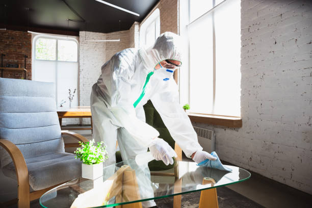 Why You Should Choose Our Mold Remediation Services in Chandler, OK